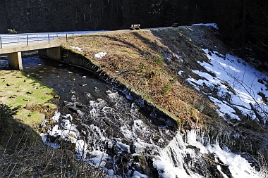 Unterer Grumbacher Teich Oberharzer Wasserwirtschaft 350 Bilder